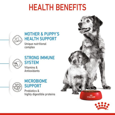 Royal Canin Medium Starter Mother & BabyDog – Hrană Uscată pentru Cățele Gestante/în Lactație și Pui de Câine de Talie Medie – 4 kg